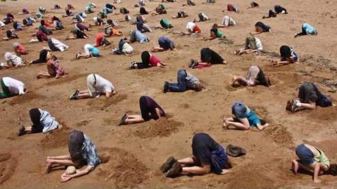 headsinsand